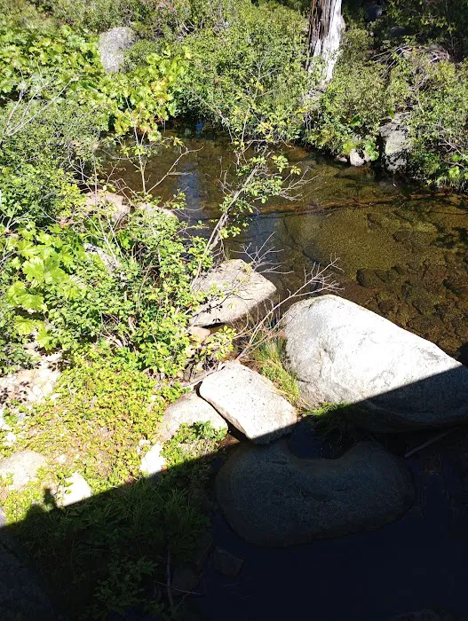 South Fork Group Campground Picture 2