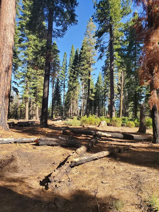 South Fork Group Campground Picture 10