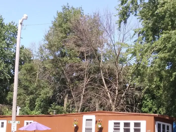 Madison MHP Picture 3