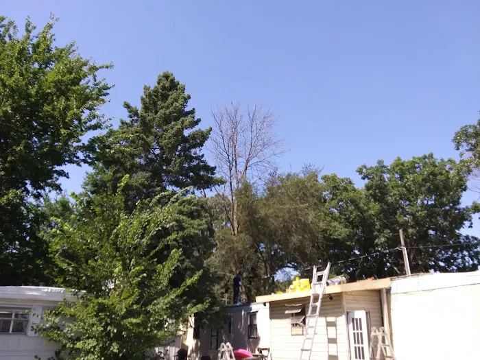 Madison MHP Picture 6