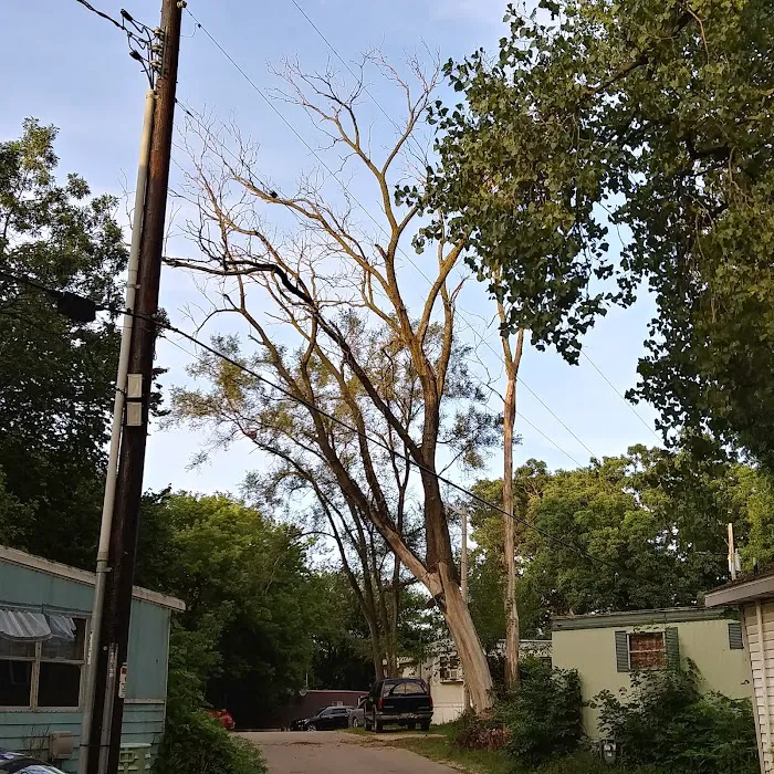 Madison MHP Picture 5