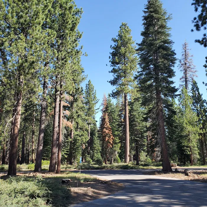 General Creek Campground Picture 1