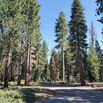 General Creek Campground