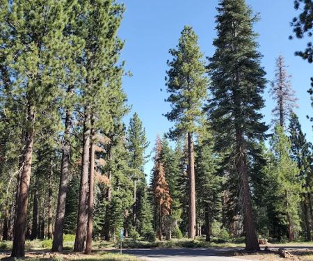 General Creek Campground