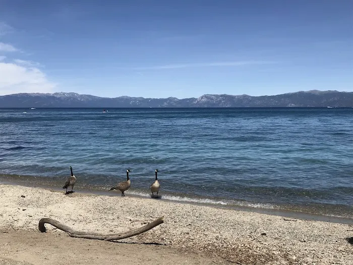 Sugar Pine Point Campground Picture 4