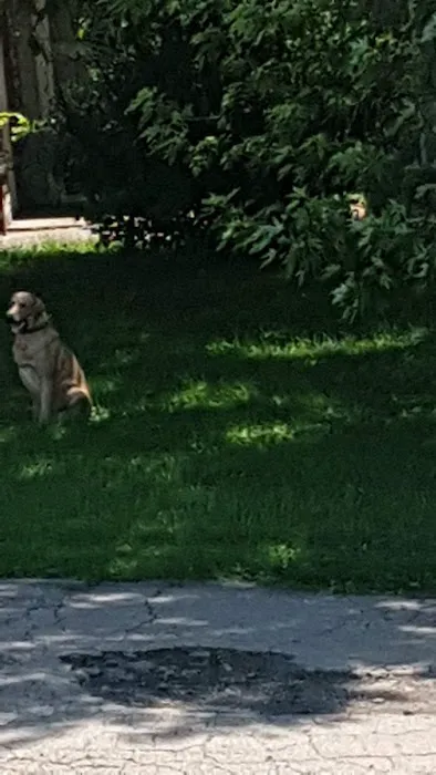 Ace Mobile Home Park Picture 1