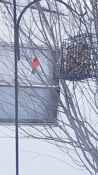 Lost Canyon Mobile Home Park Picture 1