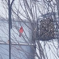 Lost Canyon Mobile Home Park ico