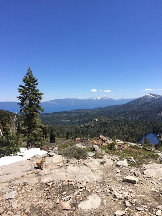 McKinney/Rubicon Trailhead Picture 9