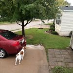 Alpine Park Manufactured Home Community