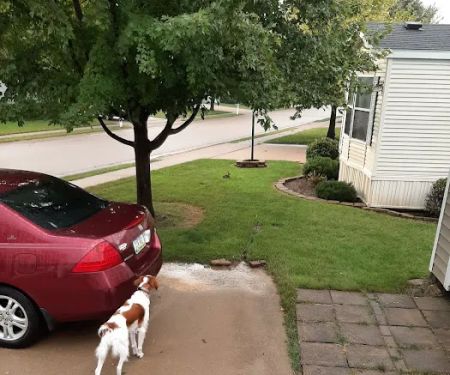 Alpine Park Manufactured Home Community