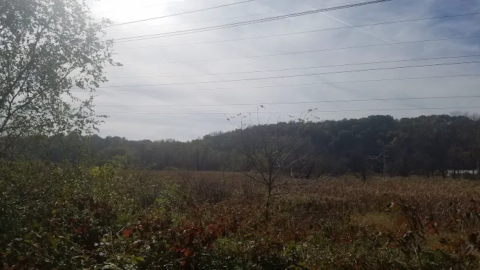 Alpine Park Manufactured Home Community Picture 6