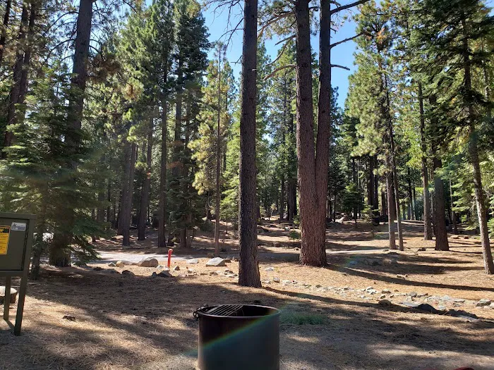 D.L. Bliss Lower Pines Campground Picture 4