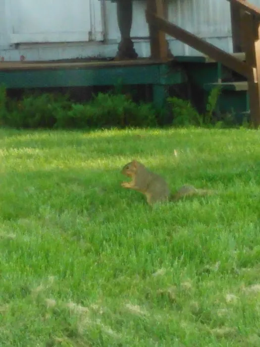 Oak Park Community Picture 1