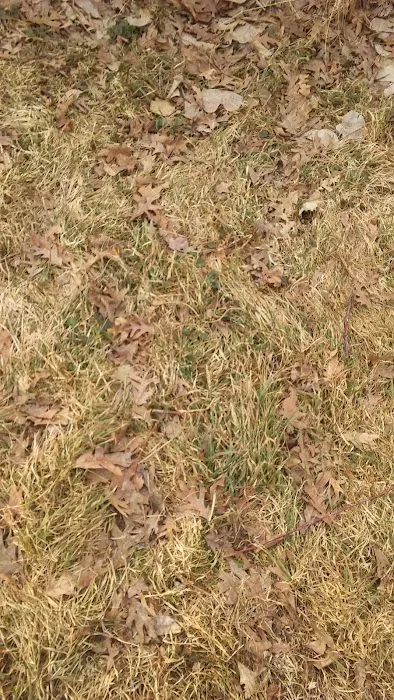 Oak Park Community Picture 5