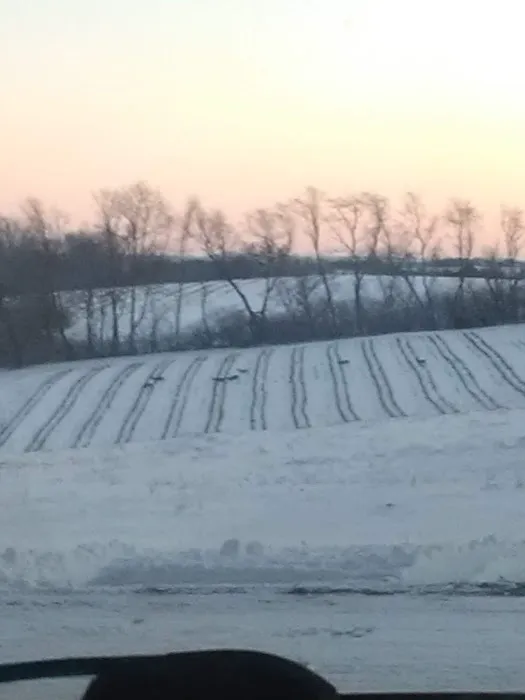 Oak Park Community Picture 4