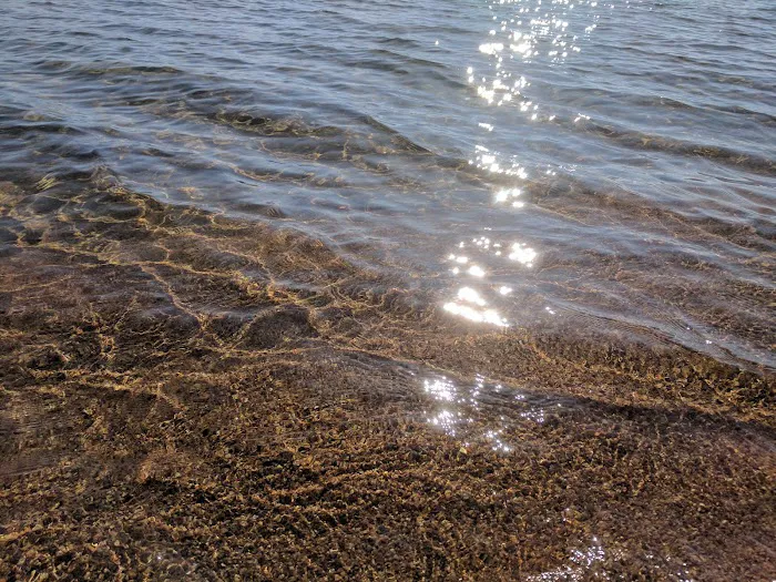 Nevada Beach Campground Picture 10