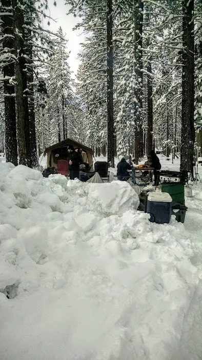 City of Lake Tahoe Campground Picture 3