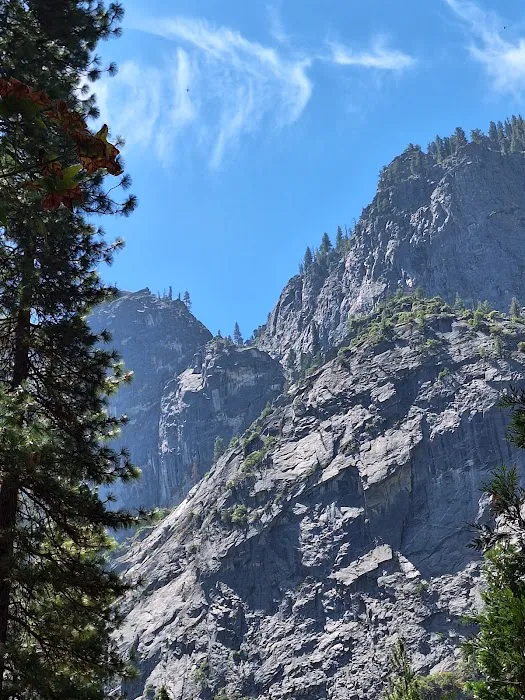 City of Lake Tahoe Campground Picture 8