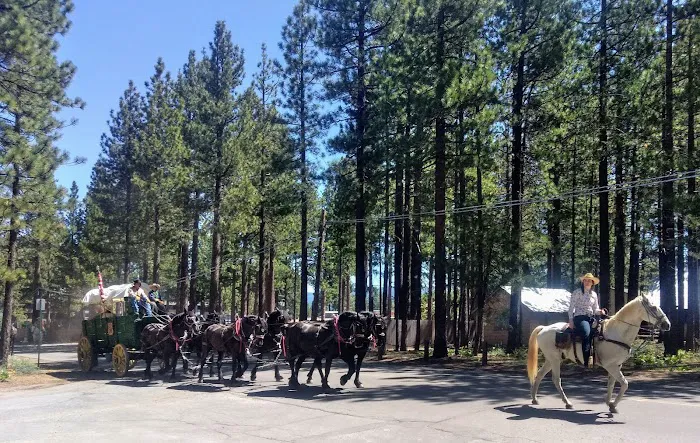 City of Lake Tahoe Campground Picture 10