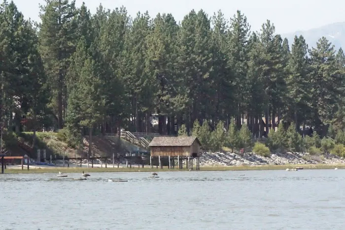 City of Lake Tahoe Campground Picture 7