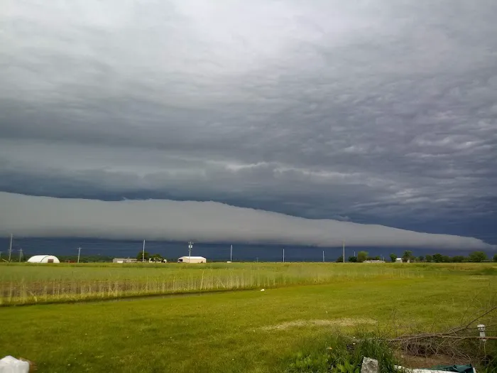 Louisa Court Picture 3