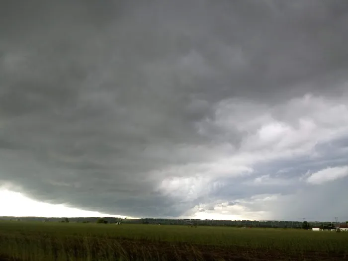 Louisa Court Picture 6