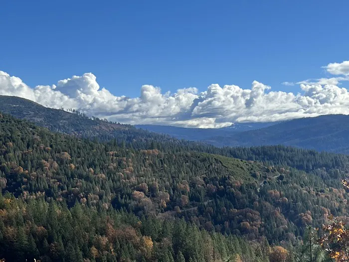 Yellowjacket Campground Picture 3