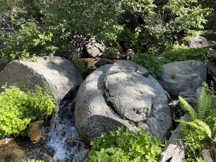 Yellowjacket Campground Picture 1