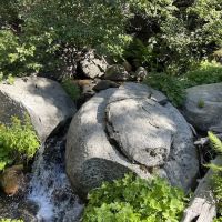 Yellowjacket Campground ico
