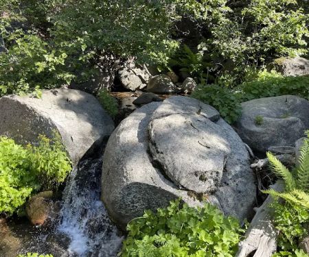 Yellowjacket Campground