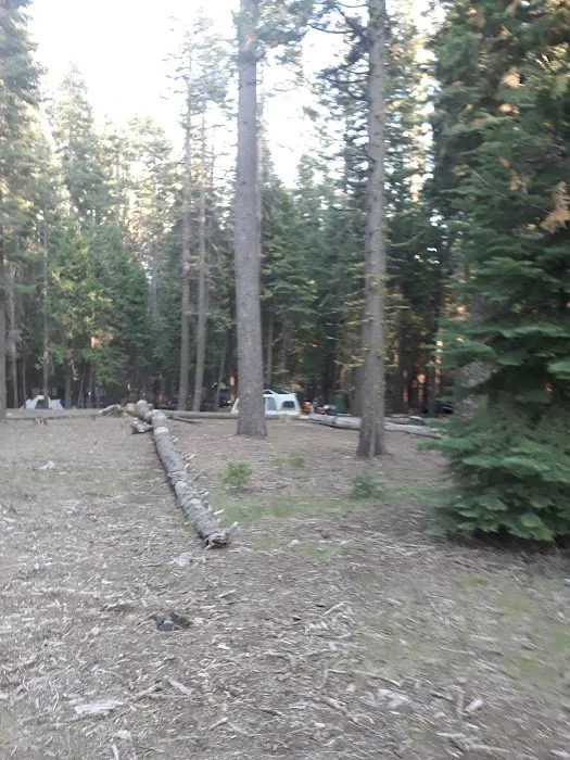 Yellowjacket Campground Picture 8