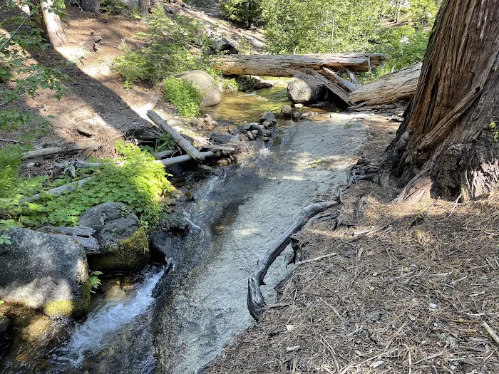 Yellowjacket Campground Picture 4