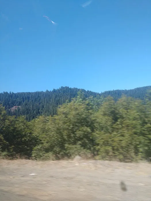 Wench Creek Campground Picture 9