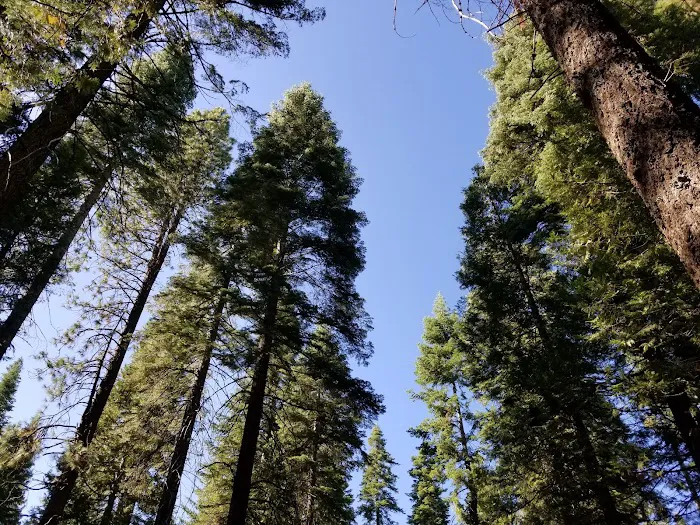 Wench Creek Campground Picture 7