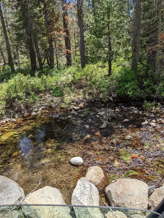 Wench Creek Campground Picture 8