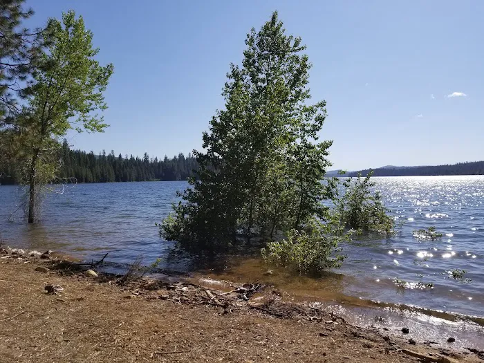 Azalea Cove Campground (recgovnpsdata) Picture 8