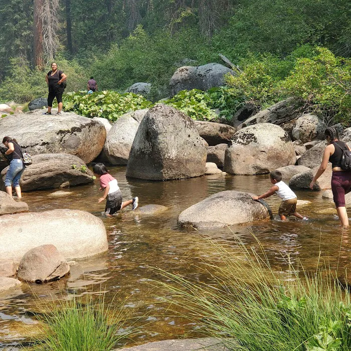 Azalea Cove Campground (recgovnpsdata) Picture 10