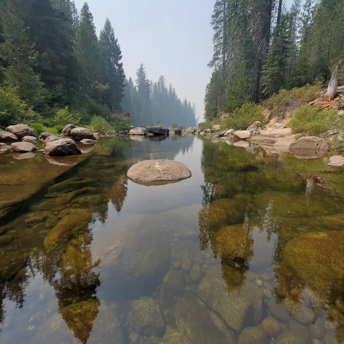 Azalea Cove Campground (recgovnpsdata) Picture 9