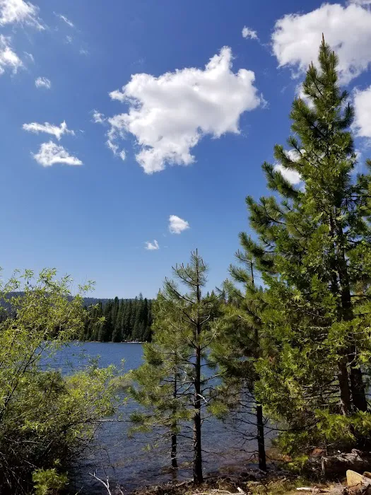 Azalea Cove Campground (recgovnpsdata) Picture 6