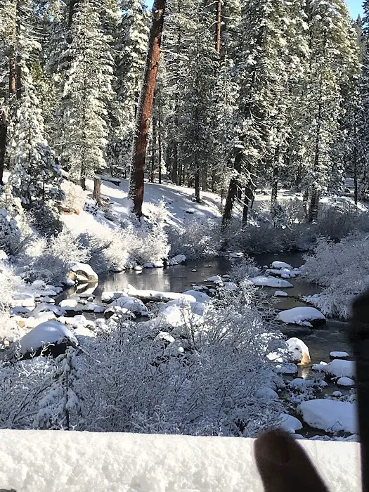 Big Silver Group Campground Picture 6
