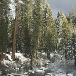 Big Silver Group Campground