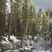 Big Silver Group Campground ico
