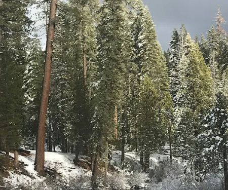 Big Silver Group Campground