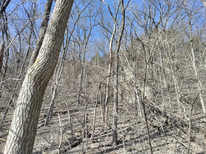 Bluffside Court Picture 3