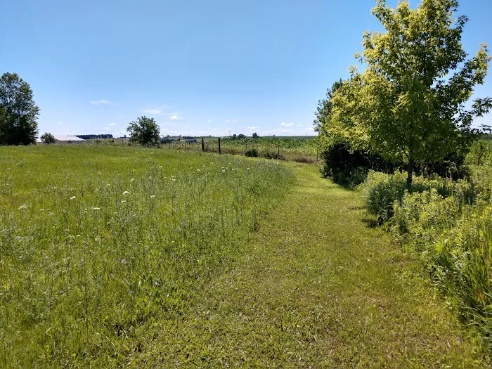Meadowview Mobile Home Park (Office) Picture 4