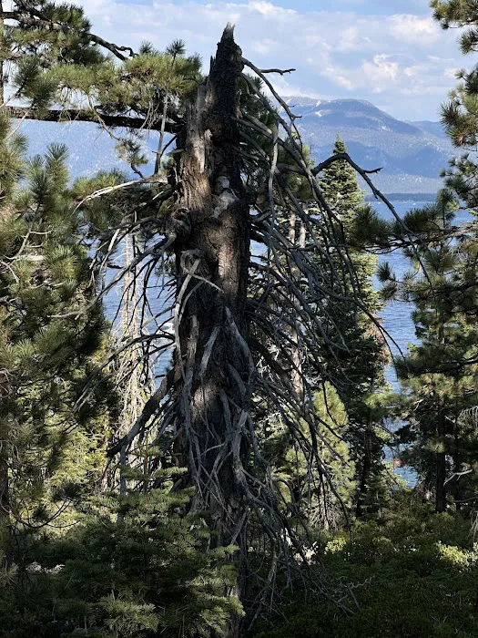 Eagle Point Campground Picture 10