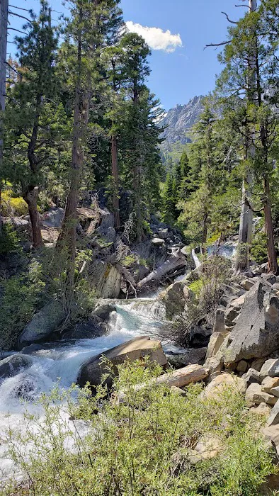 Upper Eagle Point Campground Picture 3