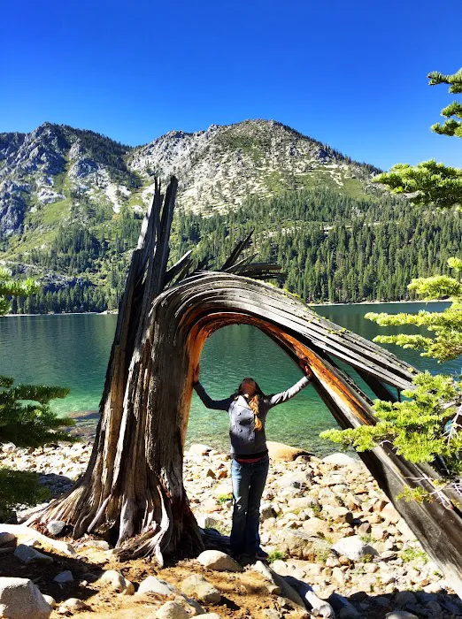 Upper Eagle Point Campground Picture 5