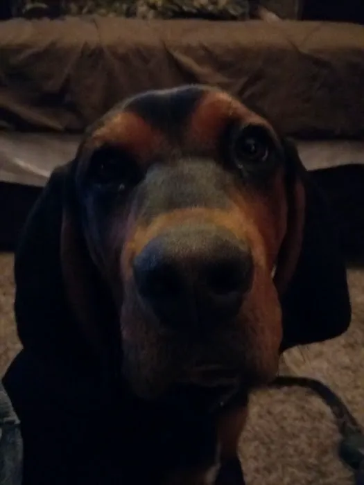 Fairview Terrace Mobile Home Park Picture 1